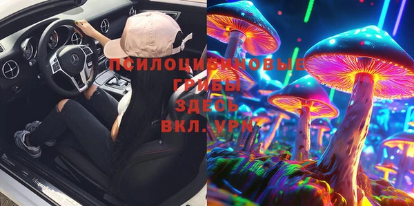 дурь Алзамай
