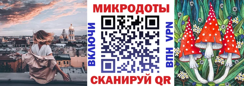 Псилоцибиновые грибы прущие грибы  OMG рабочий сайт  Карачаевск  продажа наркотиков 